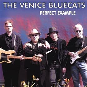 The Venice Bluecats - Perfect Example