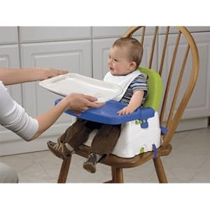 Fisher-Price Healthy Care Deluxe Booster Seat