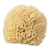 H2O Plus Natural Sea Sponge
