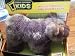 National Geographic Wildlife Rescue Baby Grizzly Bear