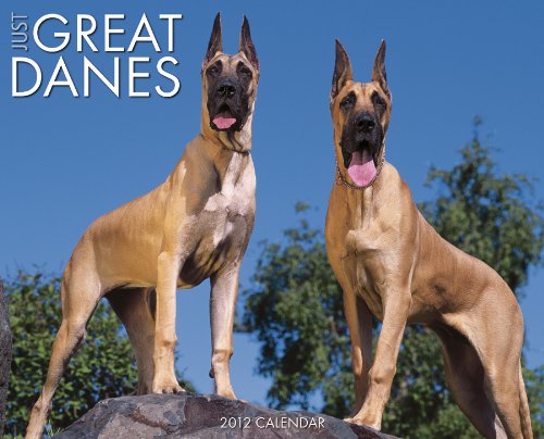 Just Great Danes