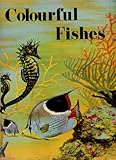 Colourful fishes