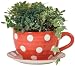Lifestyle Products, Polka Dot Red Tea Cup & Saucer Planter, 16.5 x 33.5 x 25.5 cm