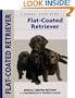 Flat-Coated Retriever (Comprehensive Owners Guide)