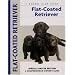 Flat-Coated Retriever (Comprehensive Owner's Guide)