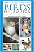 A Photographic Guide to the Birds of Jamaica