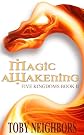 Magic Awakening (The Five Kingdoms) 