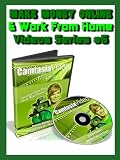 51iHrPzlFLL. SL160  Make Money Online & Work from Home (Video Series #3)