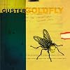 Goldfly