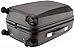 Rockland 20 Inch Polycarbonate Carry On, Crocodile, One Size