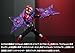 Bandai Tamashii Nations S.H. Figuarts Mashin Chaser 