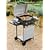 2 Burner Gas BBQ with Side Burner
