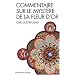 Commentaire sur Le Myst�re de la fleur d'or