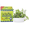 CatNip Plus - brings live fresh catnip indoors