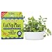 CatNip Plus - brings live fresh catnip indoors