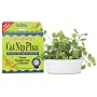 CatNip Plus - brings live fresh catnip indoors