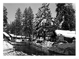 Big Bear Lake, CA Fawnskin Camp Photograph - Big Bear Lake, CA Giclee Poster Print, 24x32