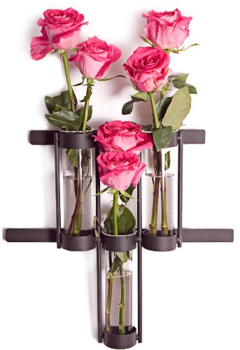 Wall Mount Triple Glass Cylinder Vase on Rustic Metal Holder
