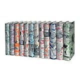 Swallows & Amazons Boxed Set