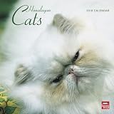 Himalayan Cats 2010 Square Wall