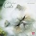 Search : Himalayan Cats 2010 Square Wall