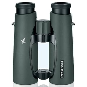 Swarovski Optik EL Swarovision Binocular, 10x42 mm