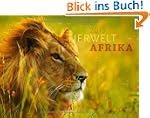 Tierwelt Afrika 2013