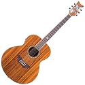 Daisy Rock Butterfly Jumbo Acoustic-Electric Guitar, Zebra Butterfly