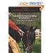 Natural Horsemanship Explained: From Heart to Hands