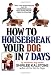 How to Housebreak Your Dog in Seven Days