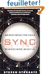 Sync: How Order Emerges From Chaos In...