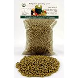 1 Pound Mung Bean Organic Sprouting Seed by Handy Pantry