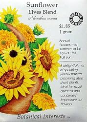 Sunflowers Elves Blend Cerified Organic Seeds