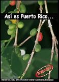 Asi es Puerto Rico
