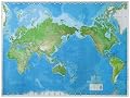 World Wall Map