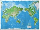 World Wall Map