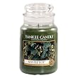 Yankee Candle Large 22-Ounce Jar Candle, Mistletoe