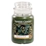 Yankee Candle Large 22-Ounce Jar Candle, Mistletoe