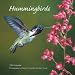 Hummingbirds 2008 Square Wall Calendar