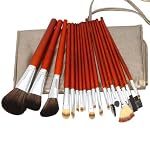 18pcs Professional Cosmetic Makeup Brush Set with Dark