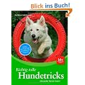 Richtig tolle Hundetricks: die jeder lernen kann