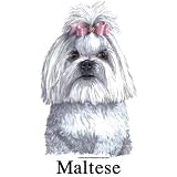 Maltese Cordial - Shot Glass