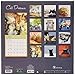 Cat Dreams Wall Calendar by TF Publishing 2016