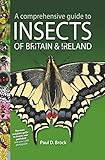 A comprehensive guide to insects of Britain & Ireland