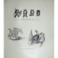 1904 MILLAIS LONG-EARED BAT SLEEPING SWIMMING NATURE