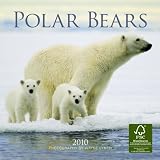 Polar Bears 2010 Calendar