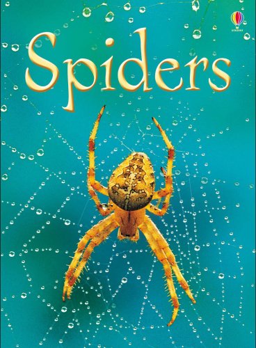 Childrens Toyshop  Books : Spiders (Usborne Beginners) (Usborne Beginners)