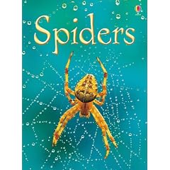 Spiders (Usborne Beginners)