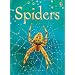 Spiders (Usborne Beginners)