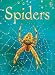 Spiders